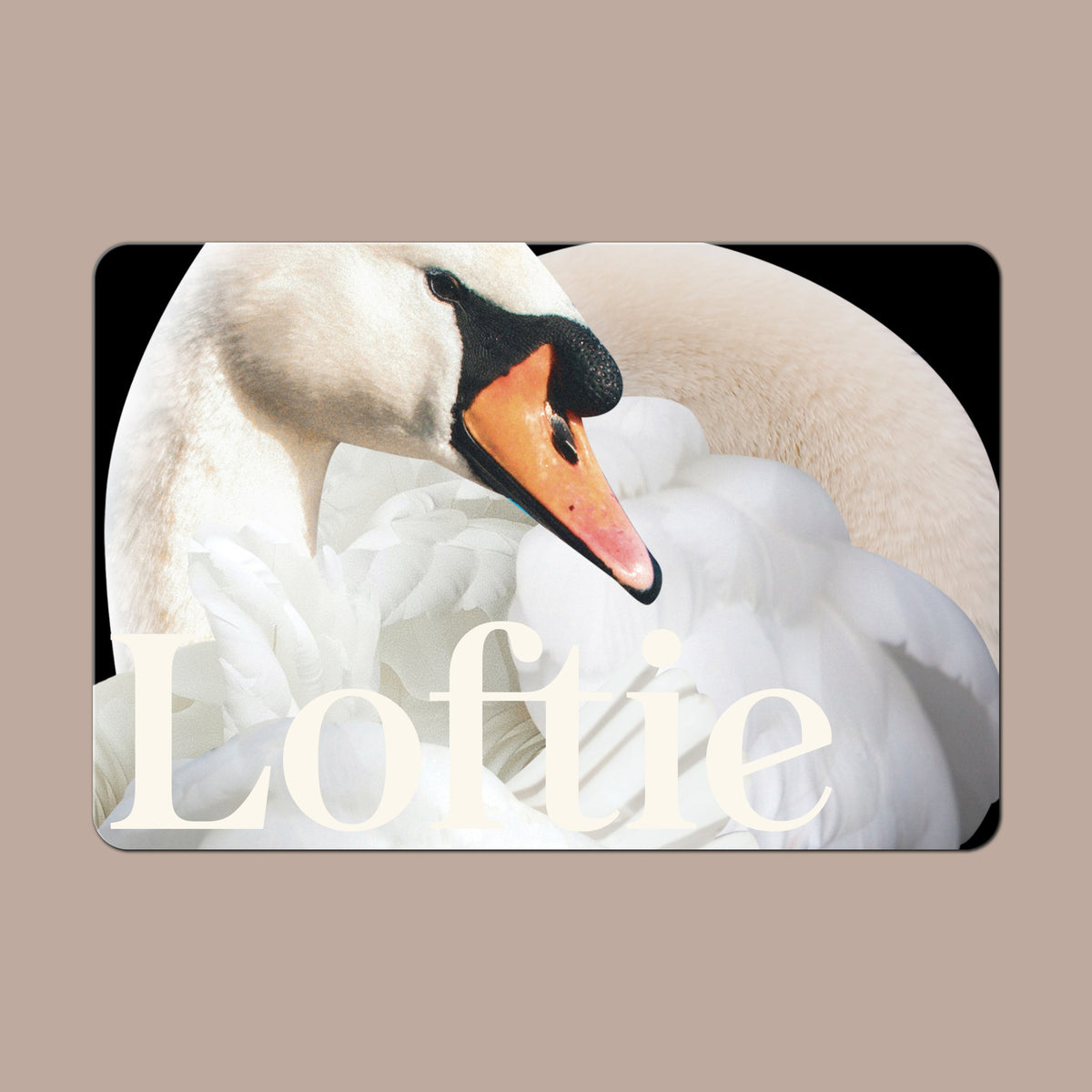 Loftie gift card